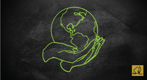 My 1st Quality Capsule On Green Quality - LESSONS FROM GREEN QUALITISTS