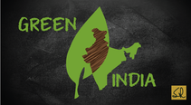 My 2nd Quality Capsule On Green Quality- BROWN QUALITY TO GREEN QUALITY